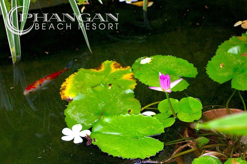 Phangan Beach Resort Baan Tai Exterior foto